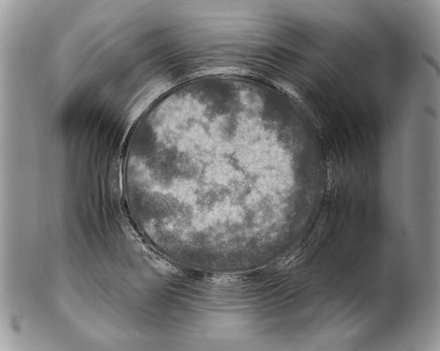X0000099571274200806131248