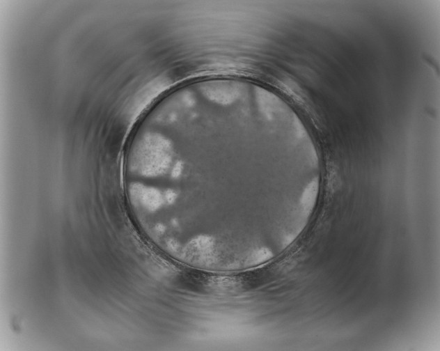 X0000099571275200806131248