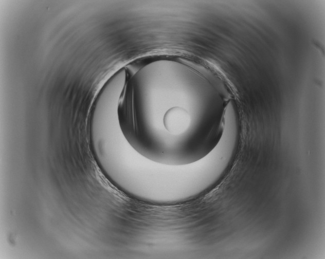 X0000099571276200806131248