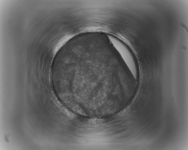 X0000099571277200806131248