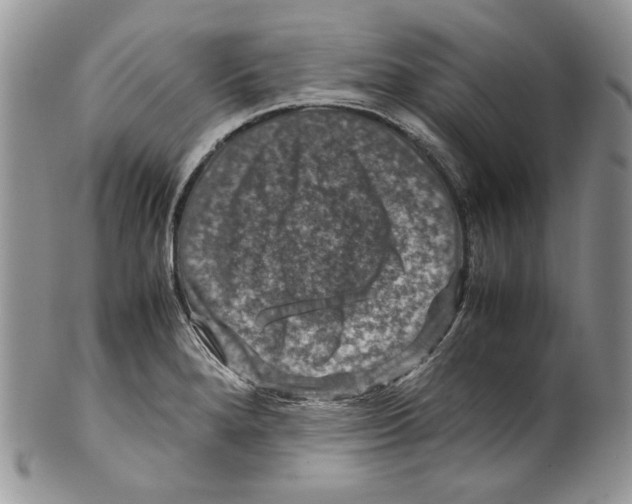 X0000099571280200806131248
