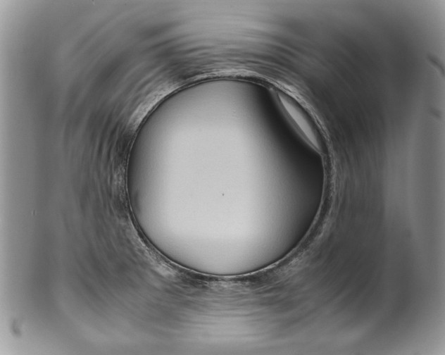X0000099571281200806131248
