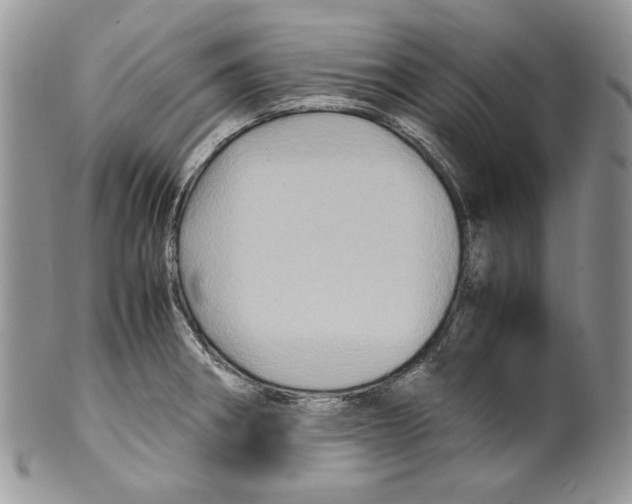 X0000099571282200806131248