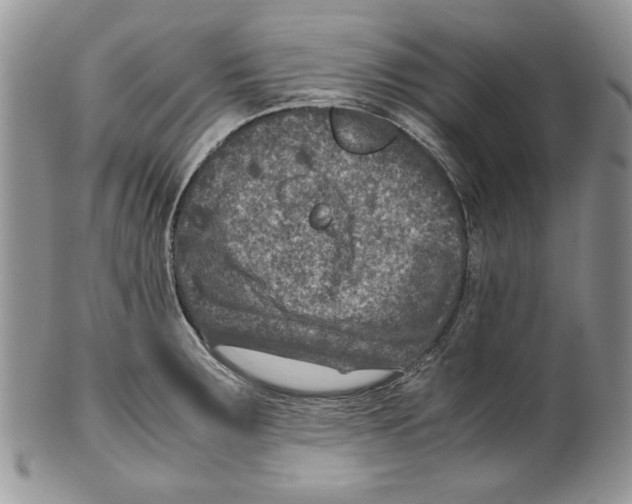 X0000099571283200806131248
