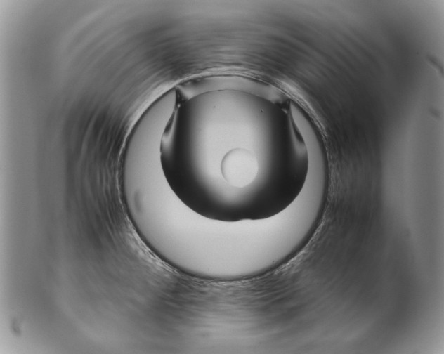 X0000099571284200806131248