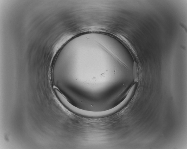 X0000099571285200806131248