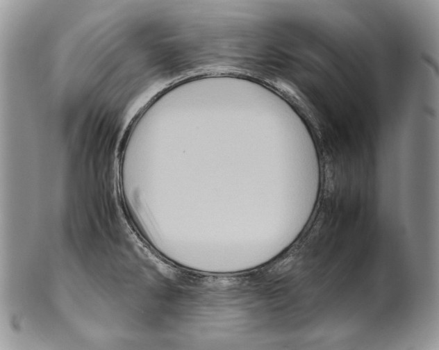 X0000099571286200806131248