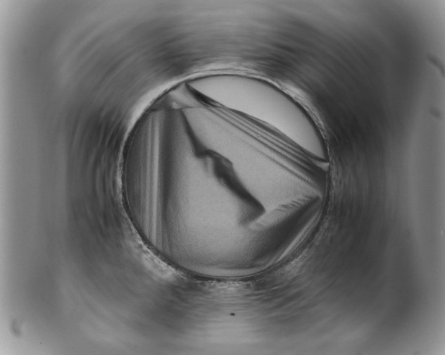 X0000099571288200806131248