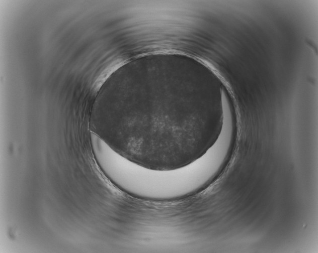 X0000099571289200806131248