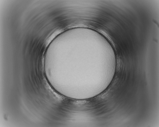 X0000099571290200806131248