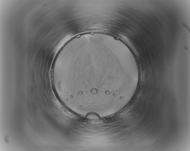 X0000099571291200806131248