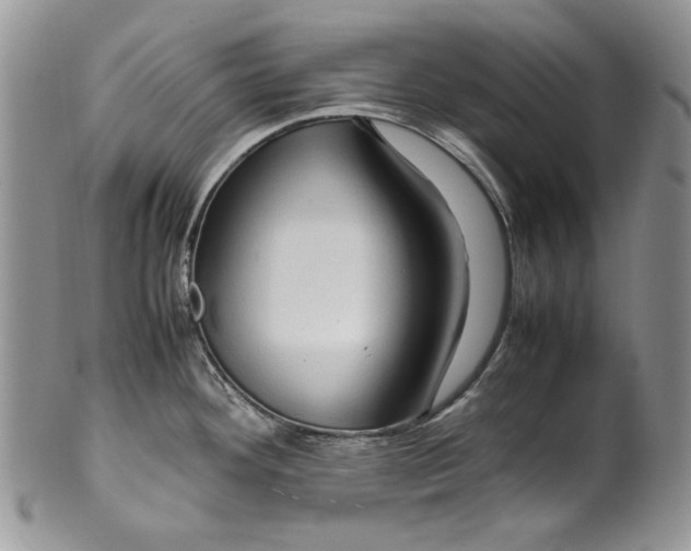 X0000099571292200806131248