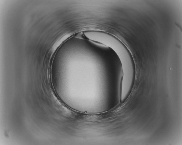 X0000099571293200806131248