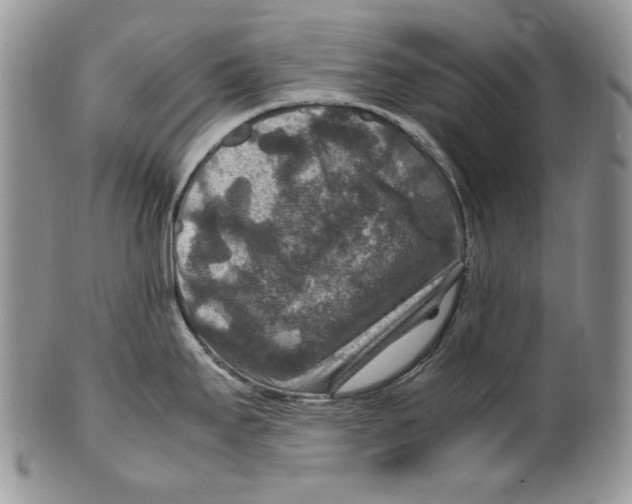 X0000099571295200806131248
