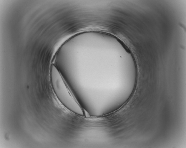 X0000099571296200806131248