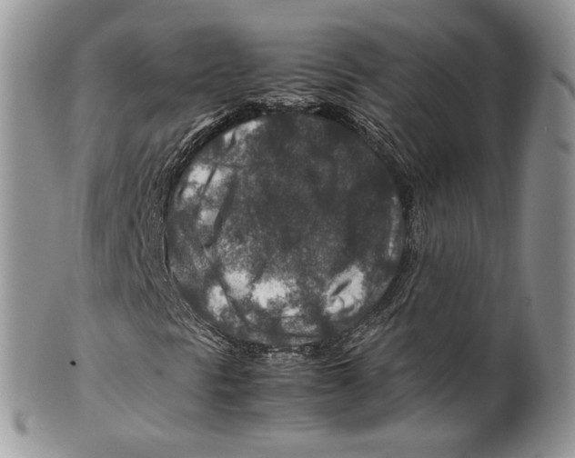 X0000099571297200806131247