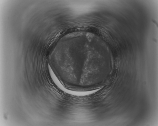 X0000099571298200806131247