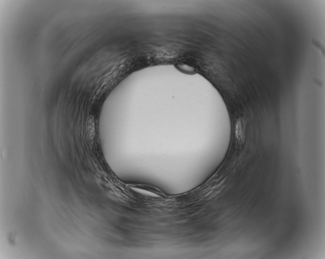X0000099571299200806131248