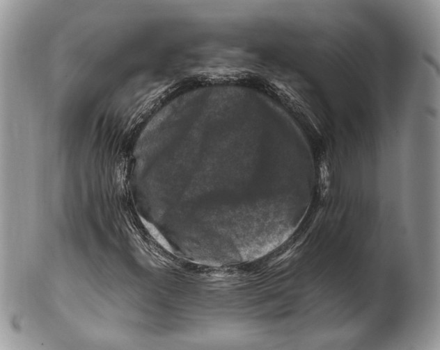 X0000099571300200806131248
