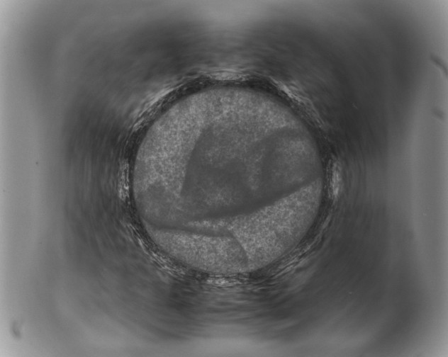 X0000099571301200806131248