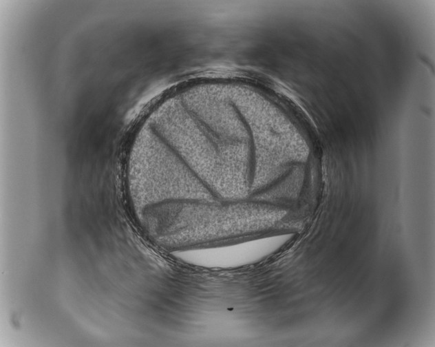 X0000099571304200806131248