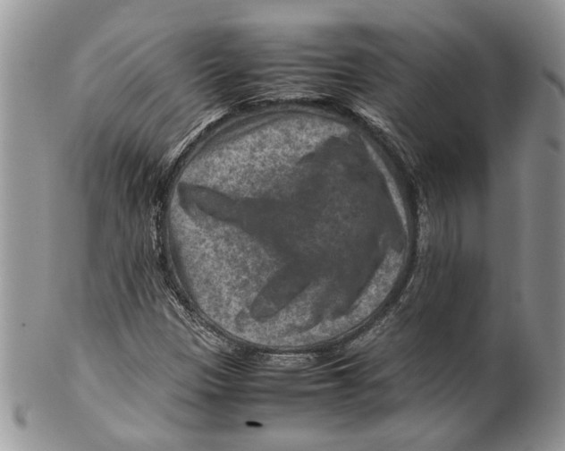 X0000099571305200806131248