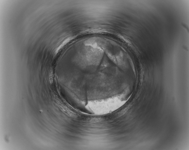 X0000099571306200806131248