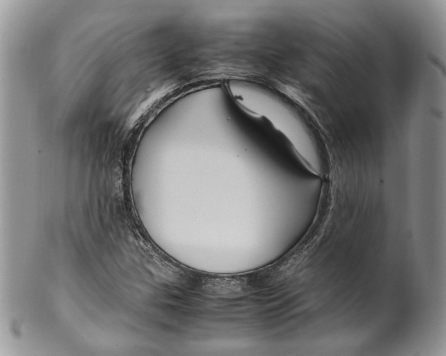 X0000099571307200806131248