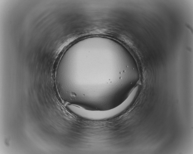 X0000099571308200806131248