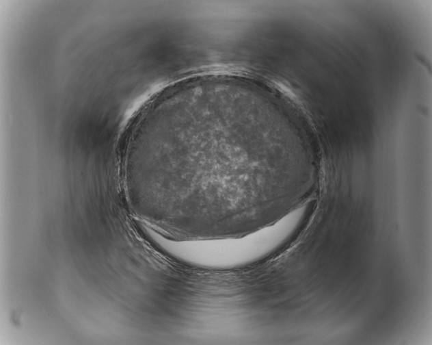 X0000099571310200806131248