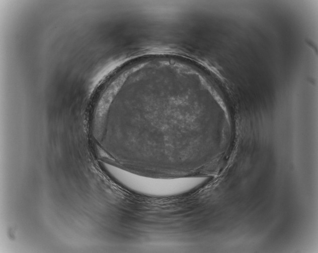 X0000099571311200806131248