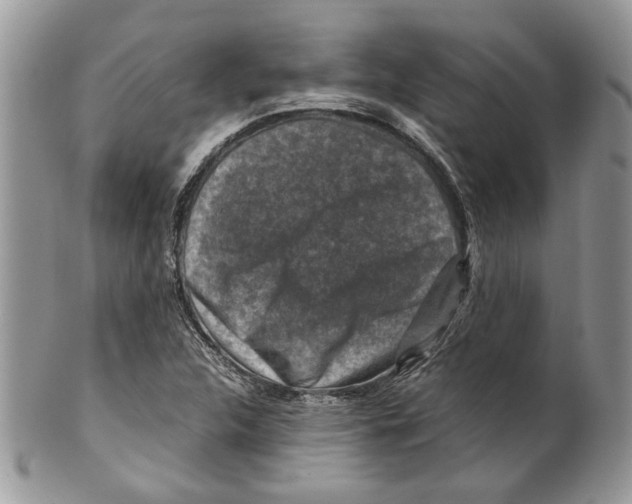 X0000099571312200806131248