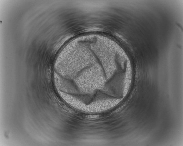 X0000099571313200806131248