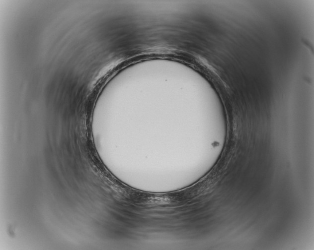 X0000099571315200806131248