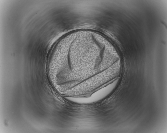 X0000099571316200806131248