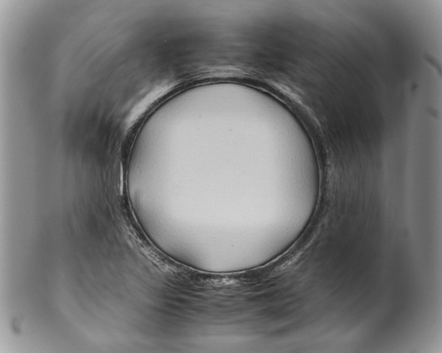 X0000099571317200806131248