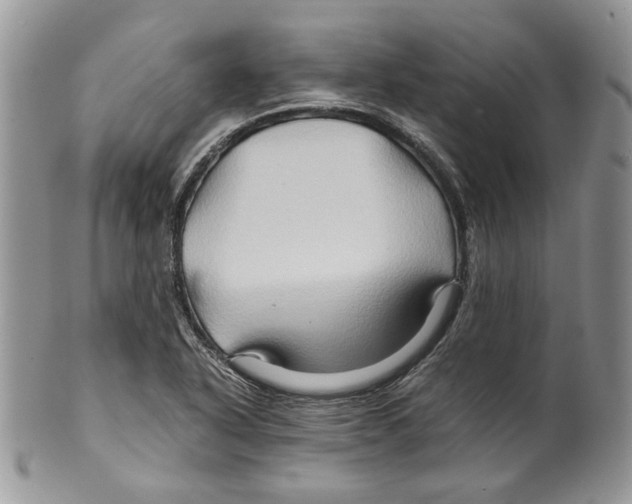X0000099571318200806131248