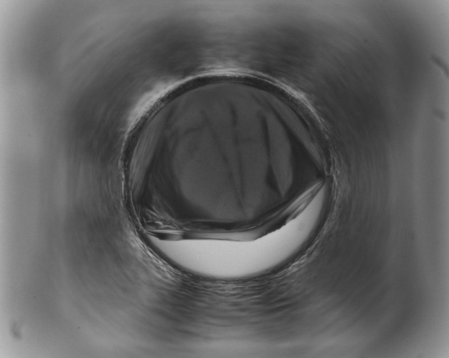 X0000099571319200806131248