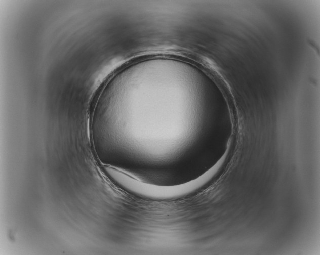 X0000099571320200806131248