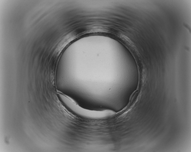 X0000099571321200806131248