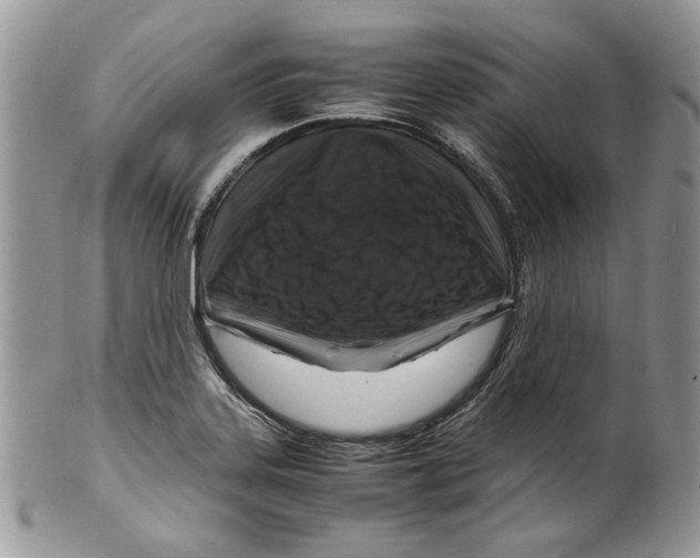 X0000099571323200806131248