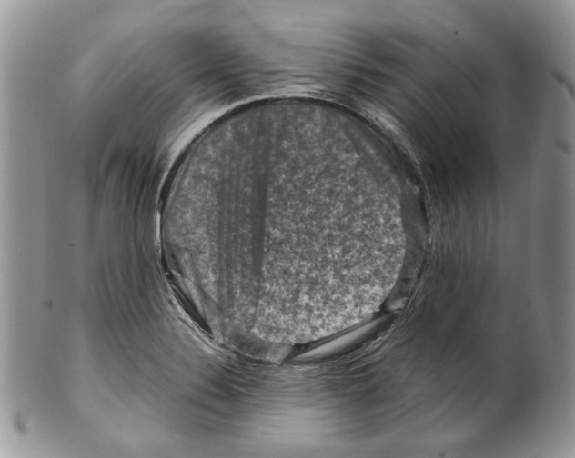 X0000099571324200806131248