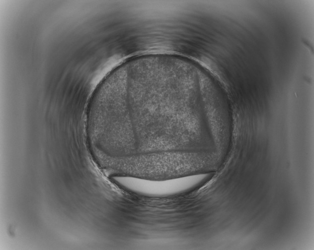 X0000099571325200806131248