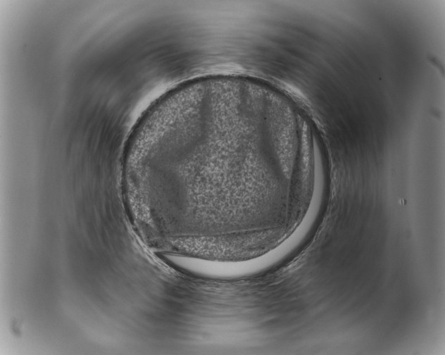 X0000099571326200806131248