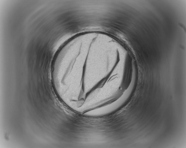 X0000099571328200806131248