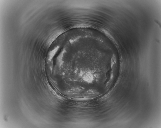 X0000099571329200806131248