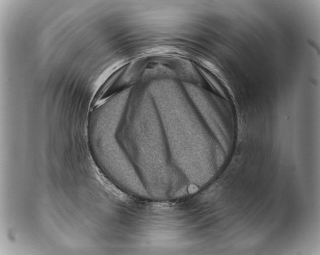 X0000099571330200806131248