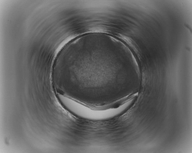 X0000099571331200806131248