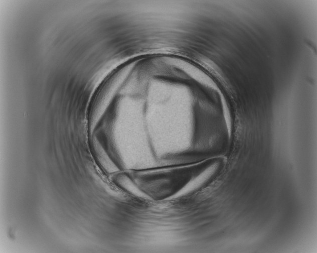 X0000099571332200806131248