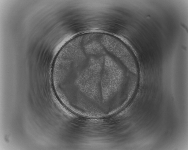 X0000099571333200806131248
